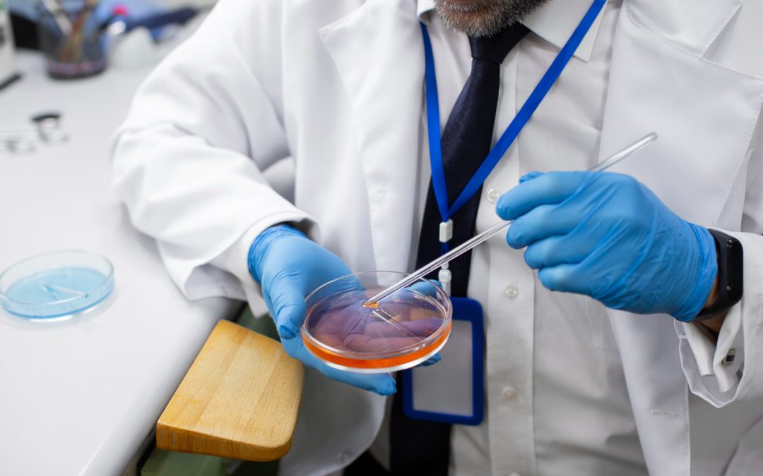 ¿Qué es la fertilización asistida?